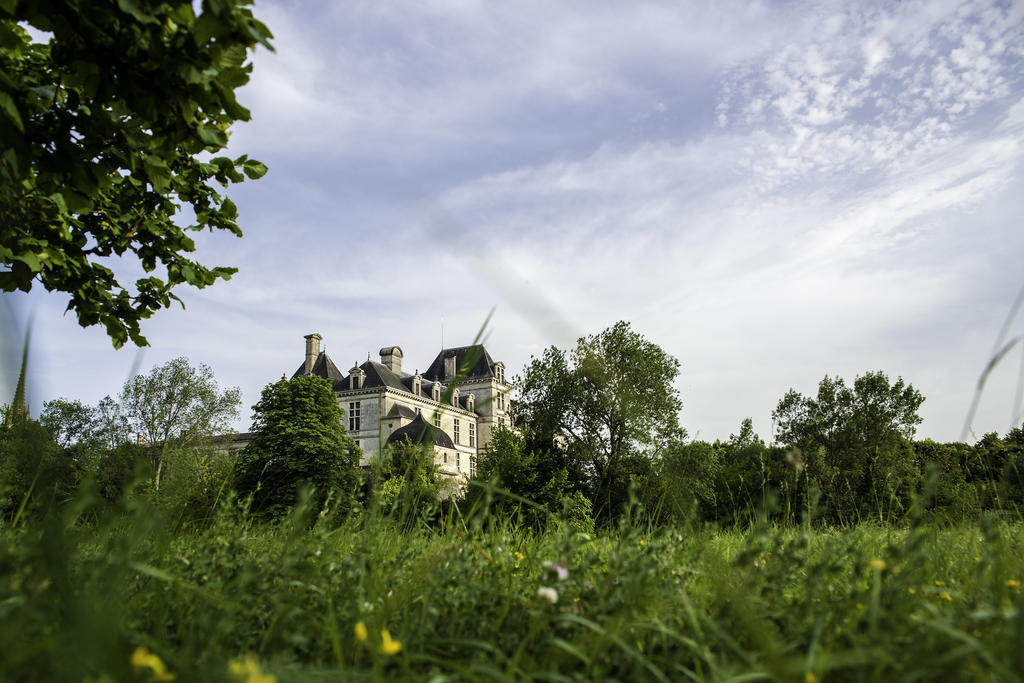 Hotel Restaurant Du Chateau De La Tour Béguey Kültér fotó